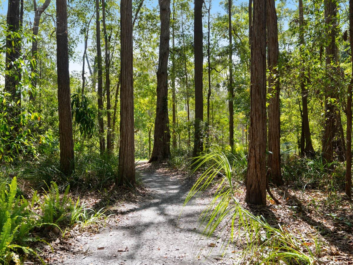 30 Lake Entrance Boulevard, NOOSAVILLE - Thumbnail 21