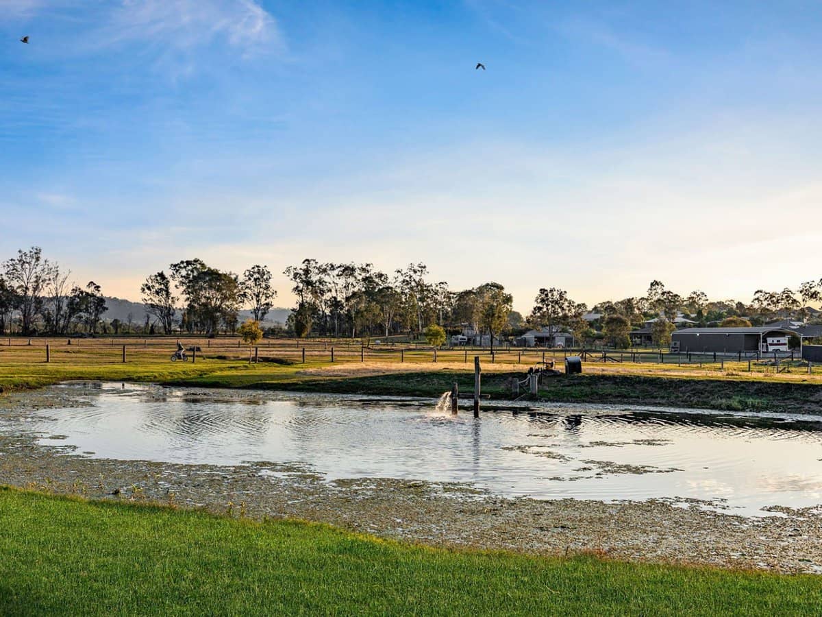 47 White Gums Road, Hatton Vale - Thumbnail 16