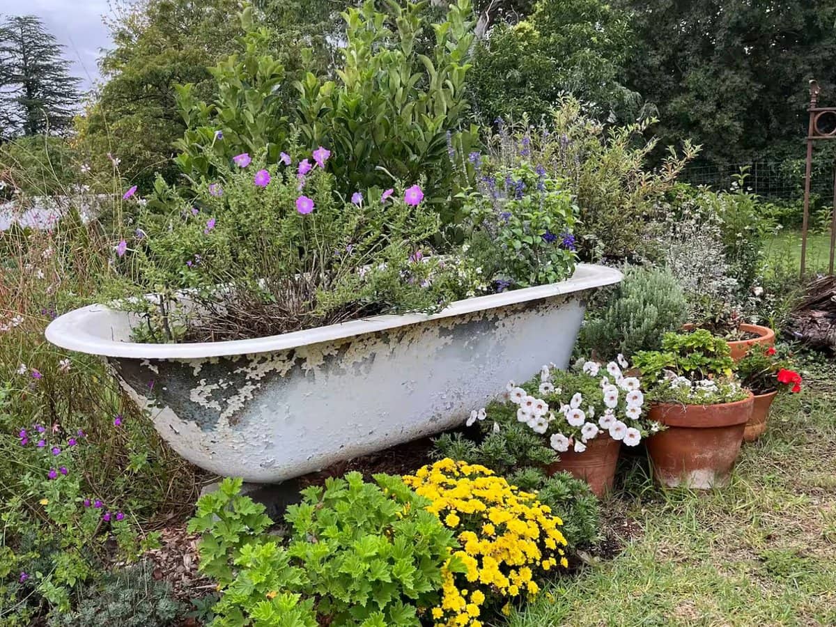 22 Davadi Street, Stanthorpe - Thumbnail 19