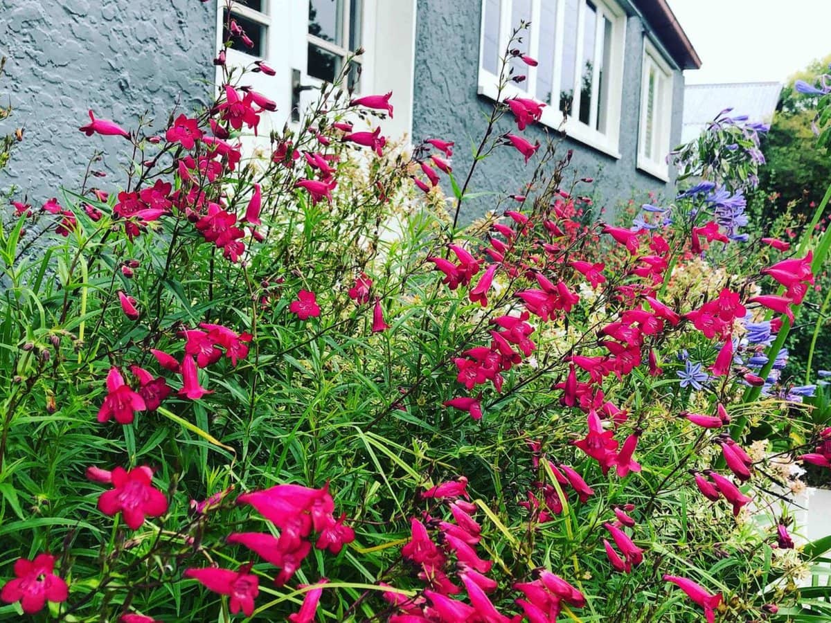 22 Davadi Street, Stanthorpe - Thumbnail 22