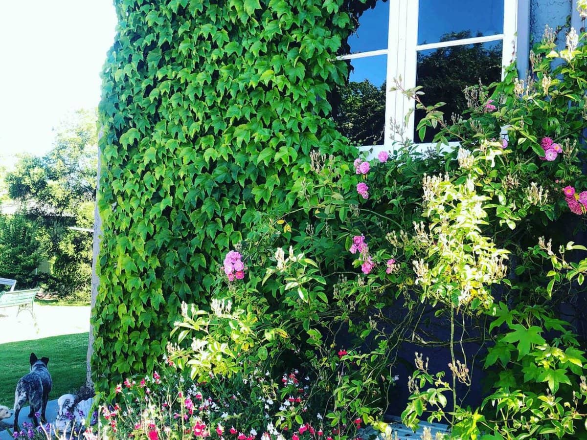 22 Davadi Street, Stanthorpe - Thumbnail 23