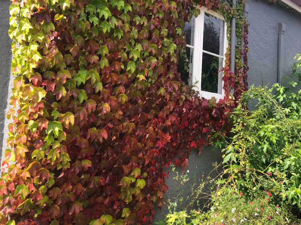 22 Davadi Street, Stanthorpe - Thumbnail 24