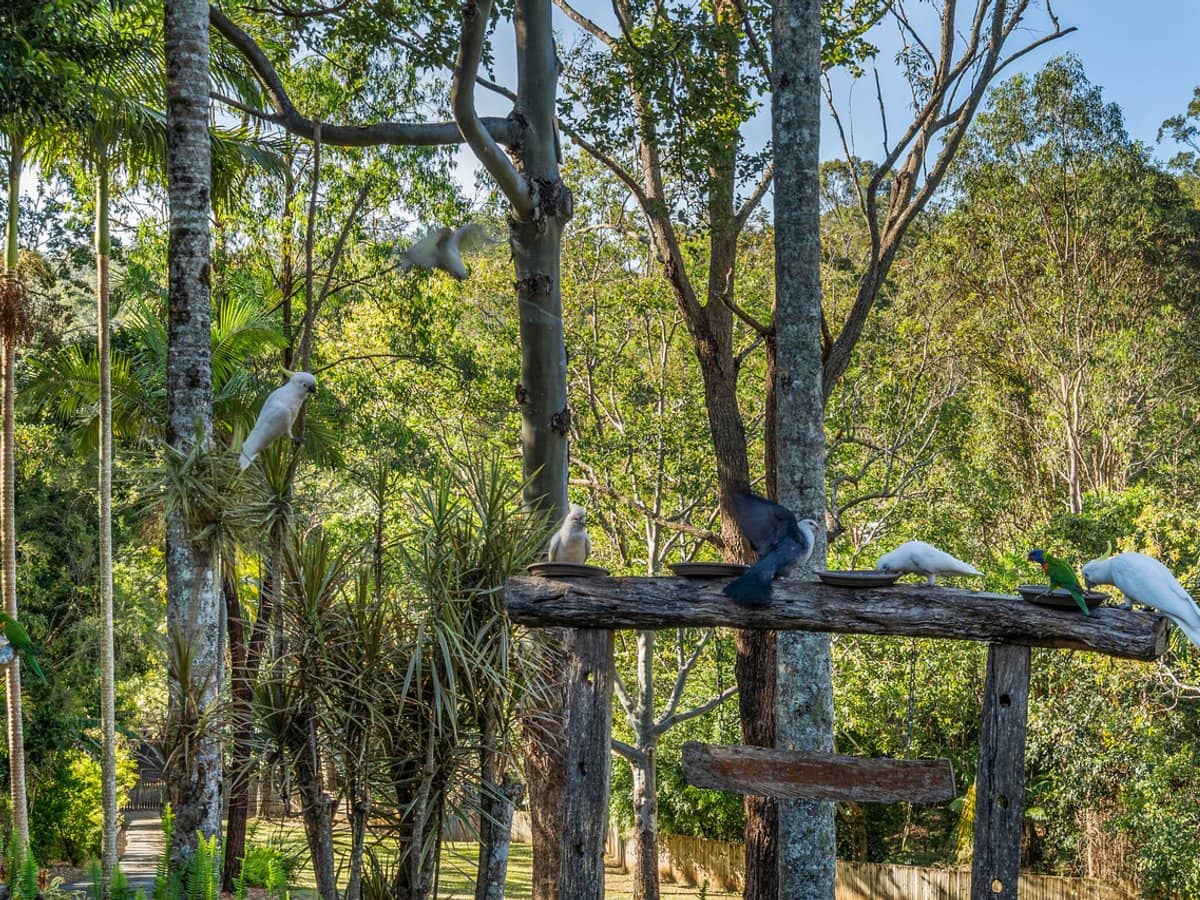 17-19 John Nielsen Court, Worongary - Thumbnail 6