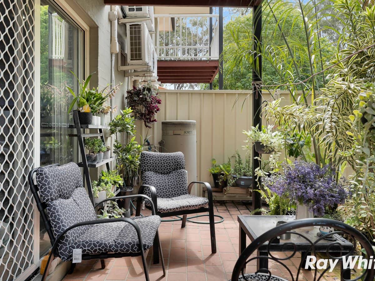 26 Buckingham Place, Eight Mile Plains - Thumbnail 13