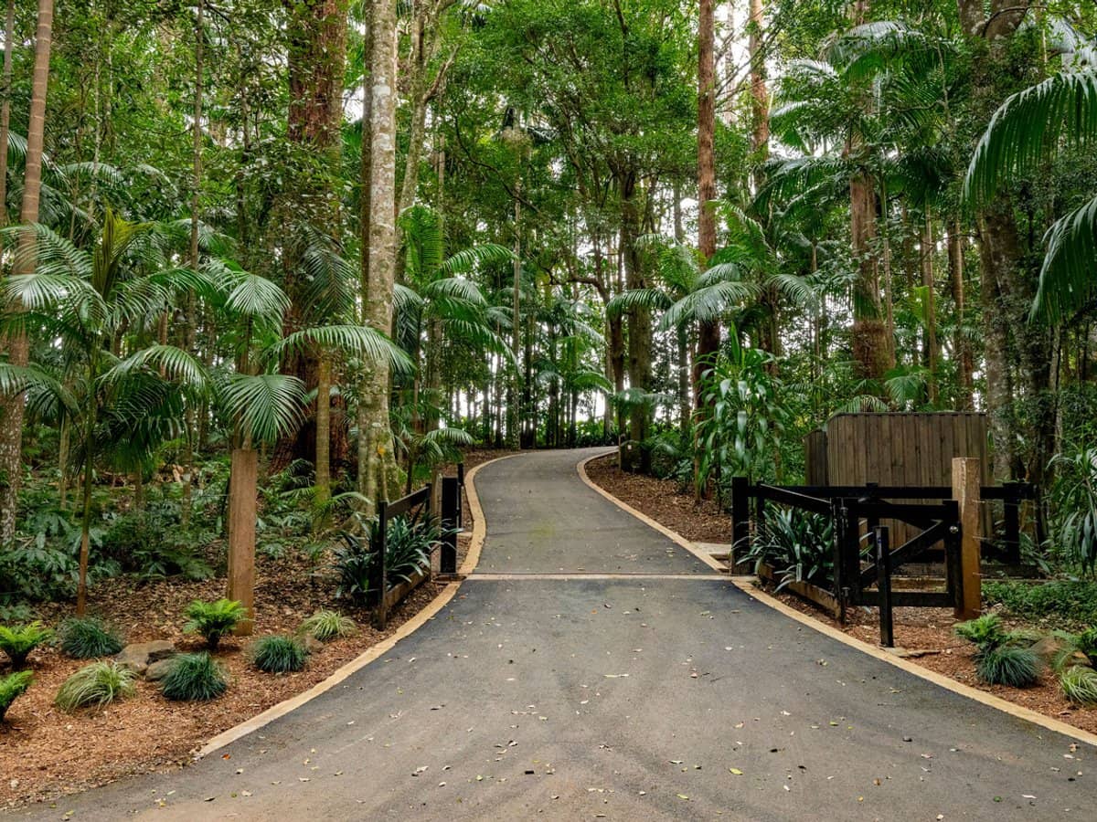 135-147 Alpine Terrace, Tamborine Mountain - Thumbnail 19