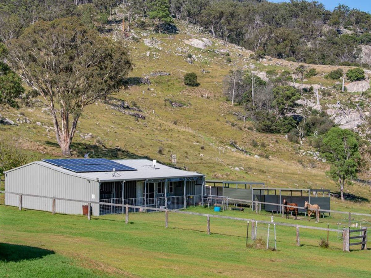 337 Mount Mackenzie Road, Tenterfield - Thumbnail 4