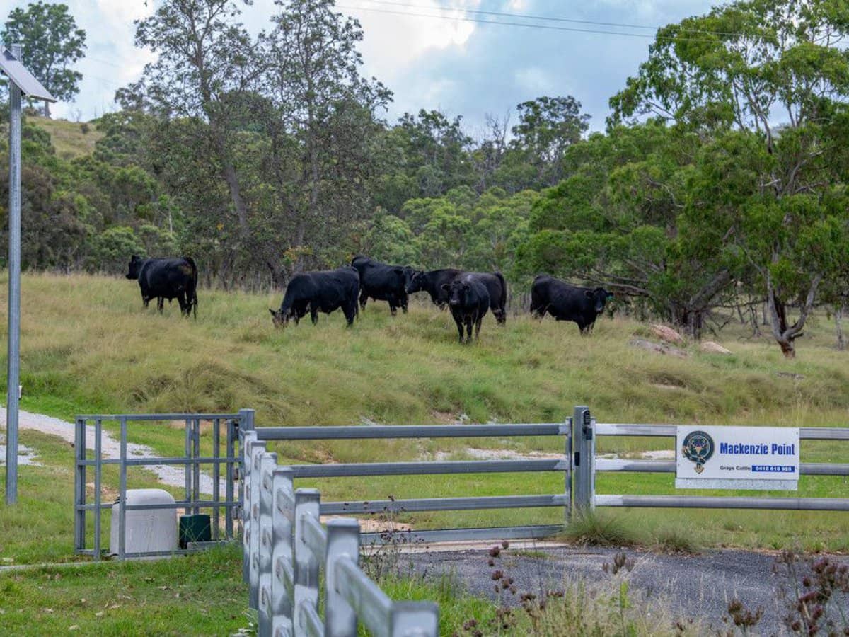337 Mount Mackenzie Road, Tenterfield - Thumbnail 6
