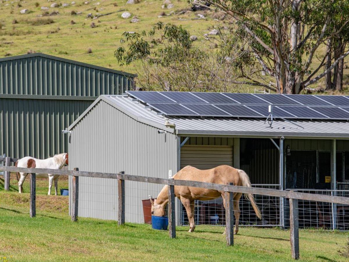 337 Mount Mackenzie Road, Tenterfield - Thumbnail 14