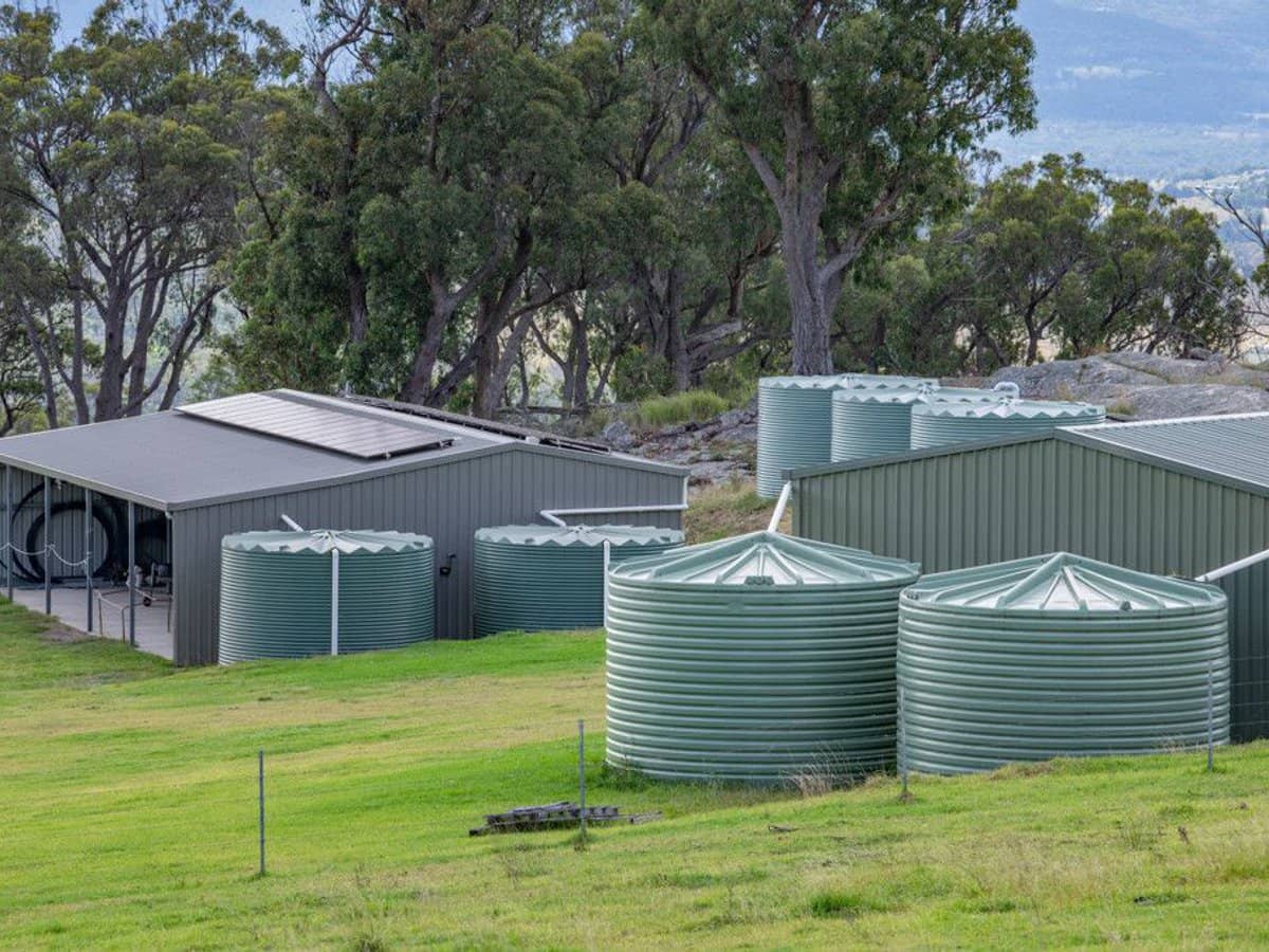 337 Mount Mackenzie Road, Tenterfield - Thumbnail 15