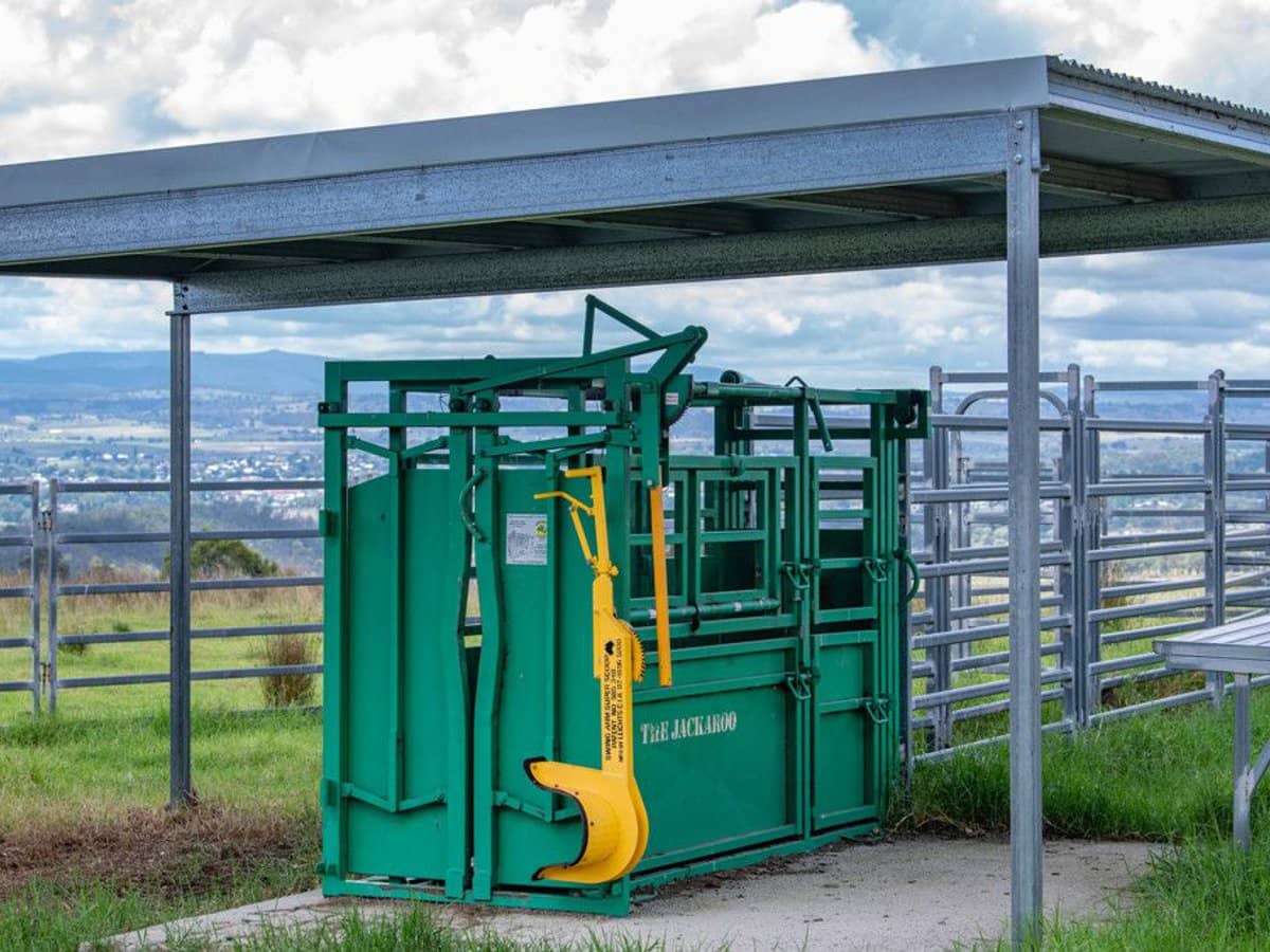 337 Mount Mackenzie Road, Tenterfield - Thumbnail 18