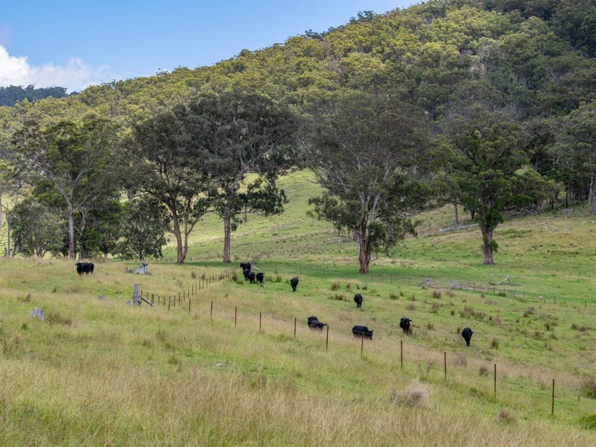 337 Mount Mackenzie Road, Tenterfield - Thumbnail 23