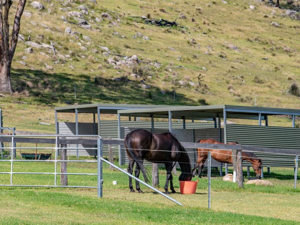 337 Mount Mackenzie Road, Tenterfield - Thumbnail 24