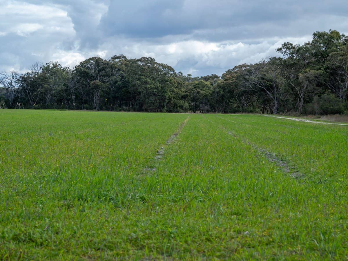 846 Nundubbermere Road, Nundubbermere - Thumbnail 8