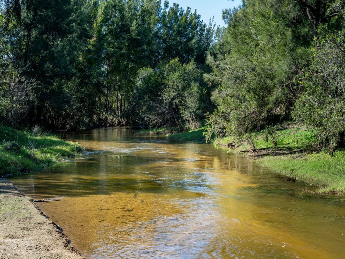 64 Cressbrook-Caboonbah Road, Cressbrook - Thumbnail 5