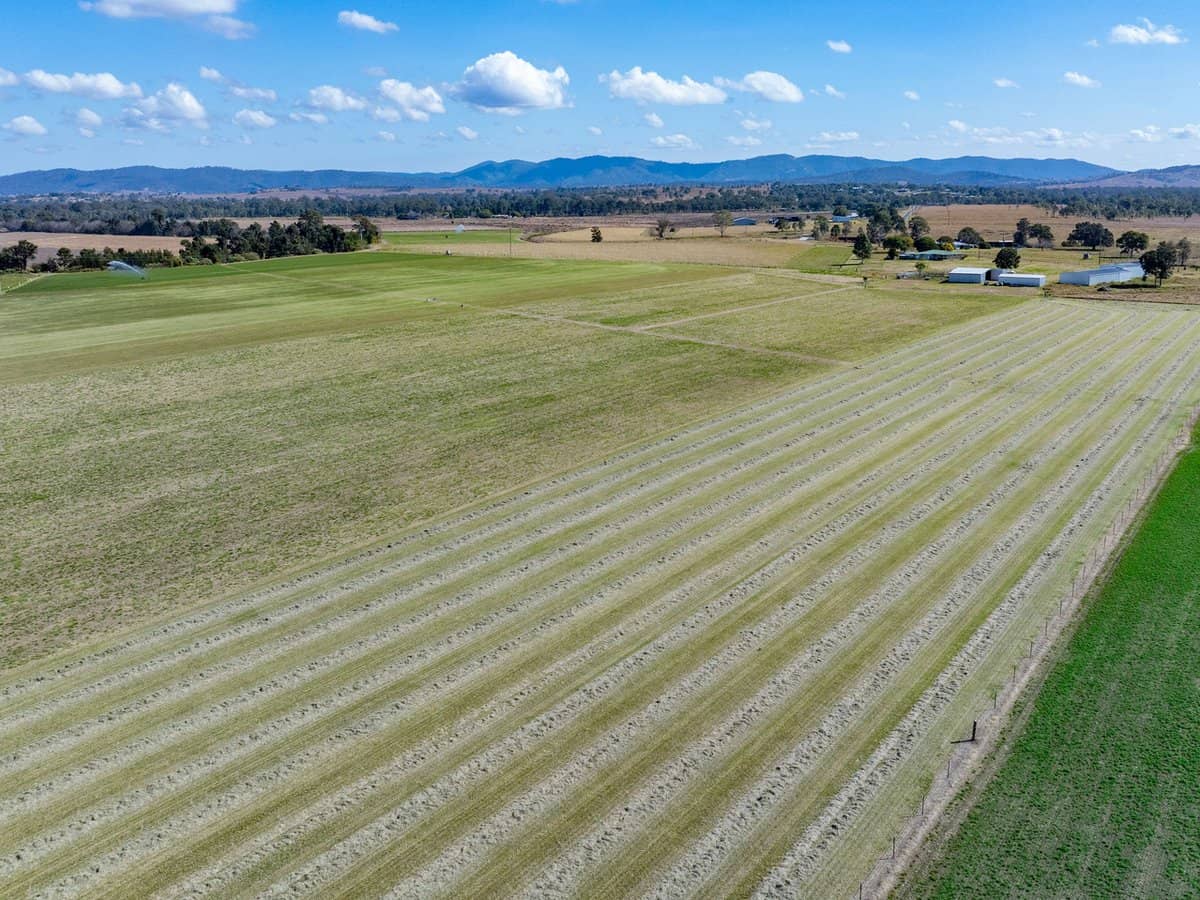 64 Cressbrook-Caboonbah Road, Cressbrook - Thumbnail 6