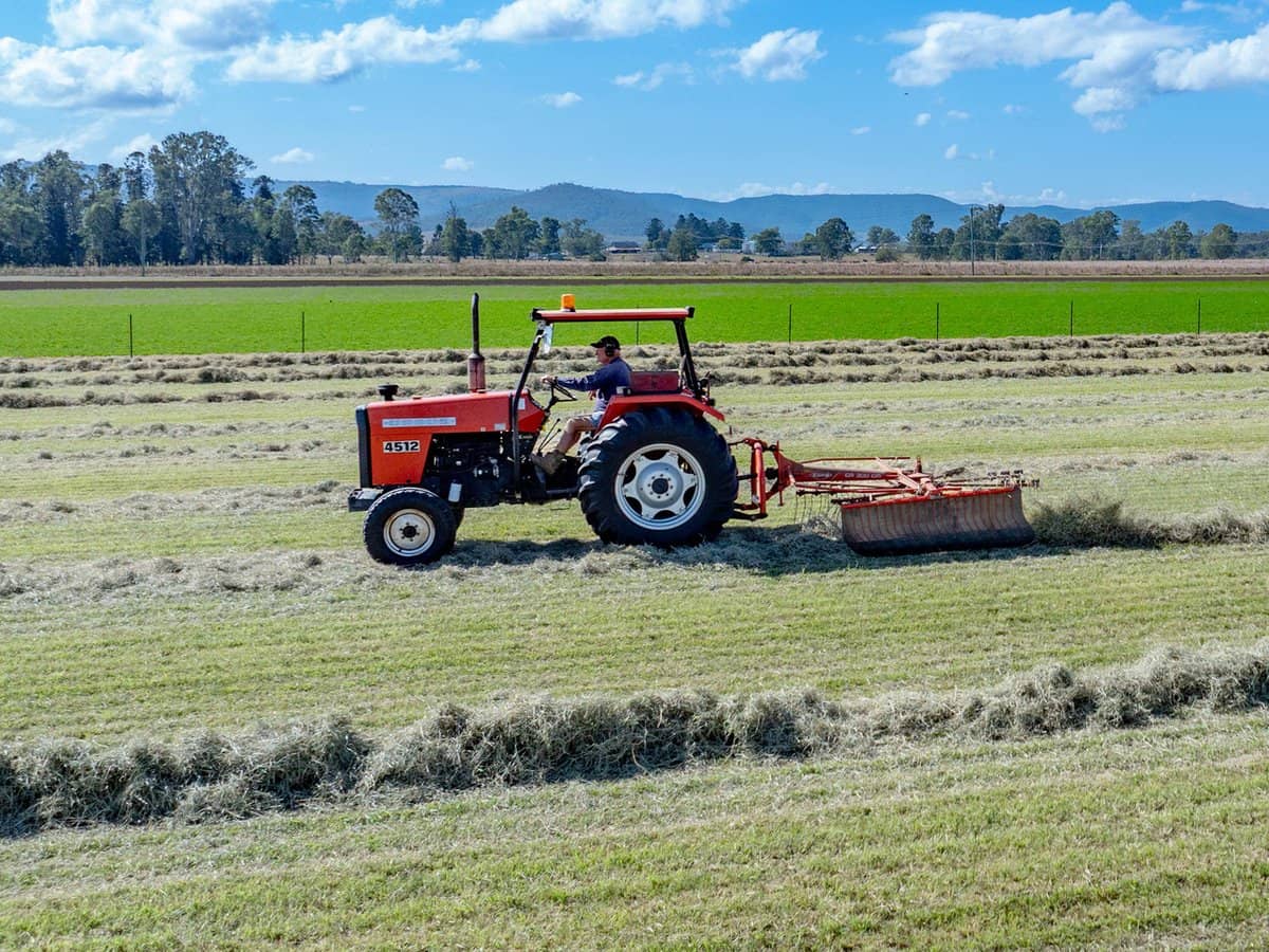 64 Cressbrook-Caboonbah Road, Cressbrook - Thumbnail 10