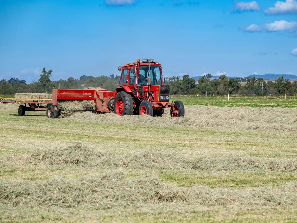 64 Cressbrook-Caboonbah Road, Cressbrook - Thumbnail 11