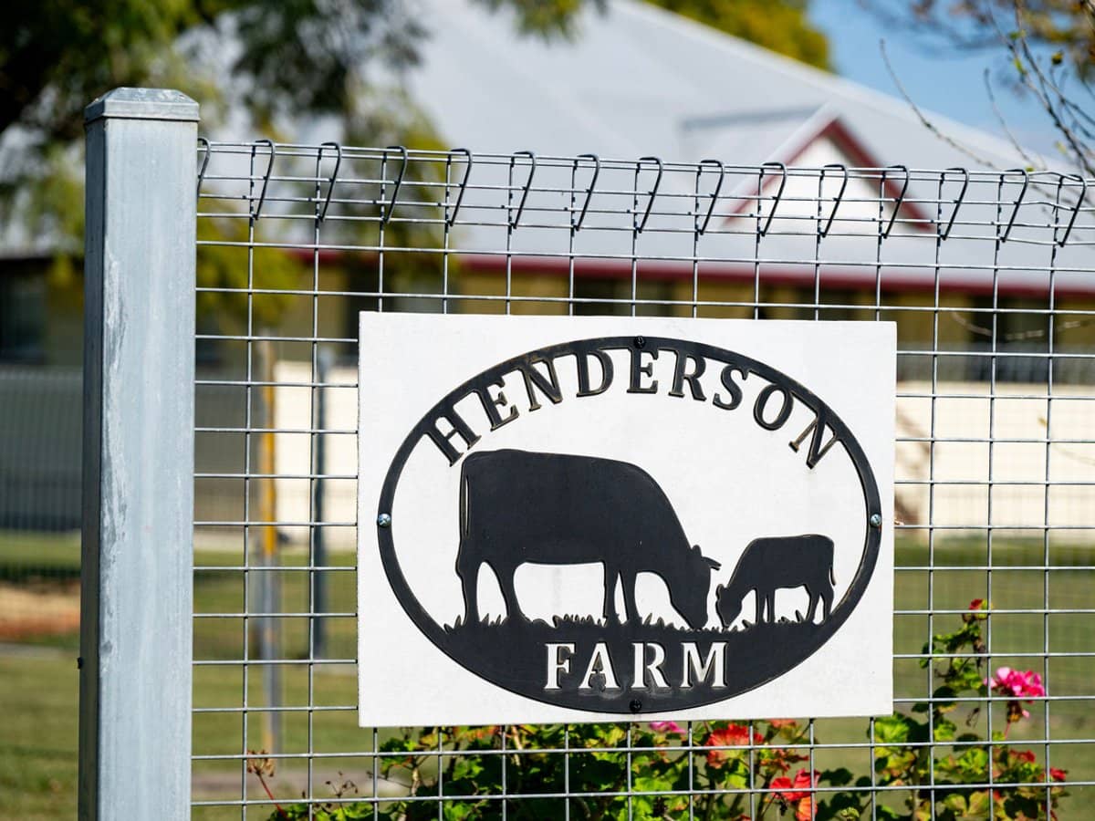 64 Cressbrook-Caboonbah Road, Cressbrook - Thumbnail 14