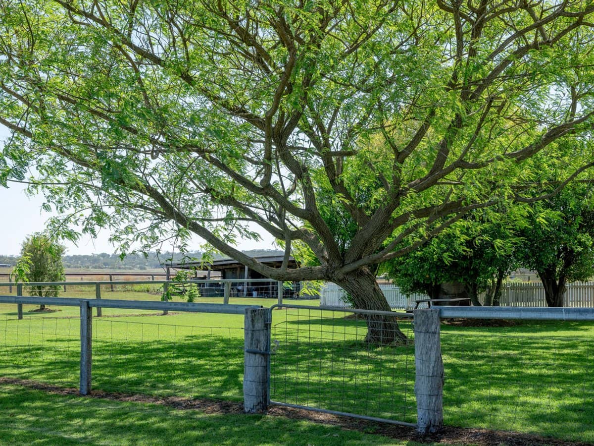 101 Clifford Road, Allora - Thumbnail 14