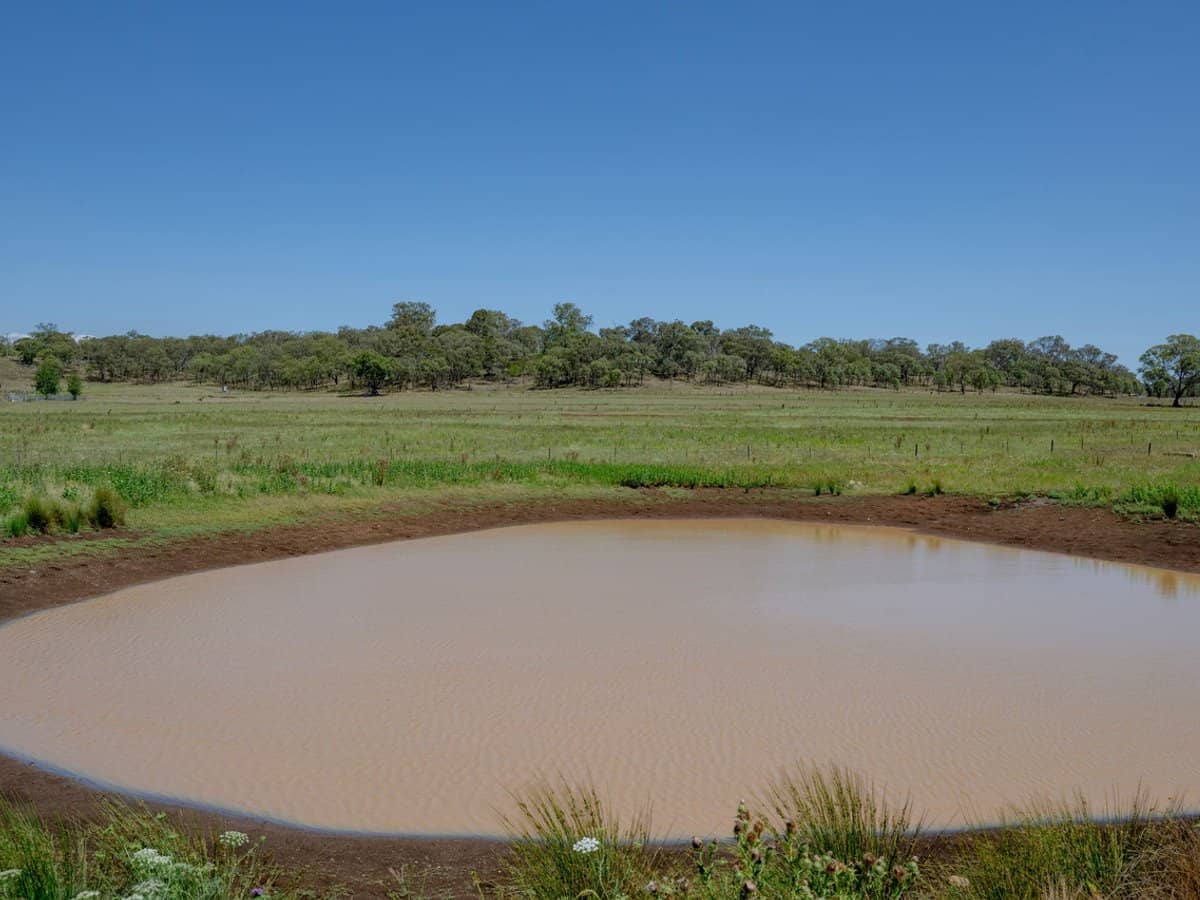 101 Clifford Road, Allora - Thumbnail 17