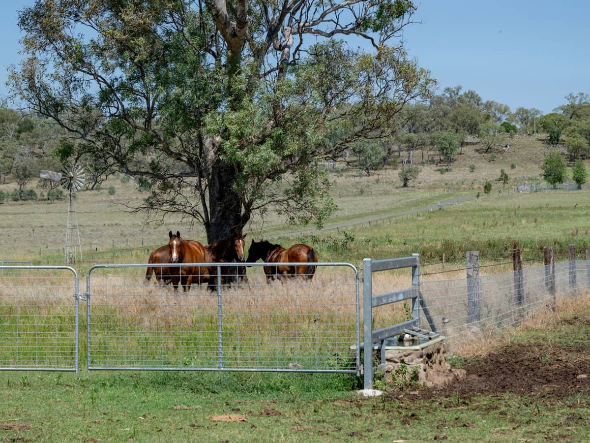 101 Clifford Road, Allora - Thumbnail 18