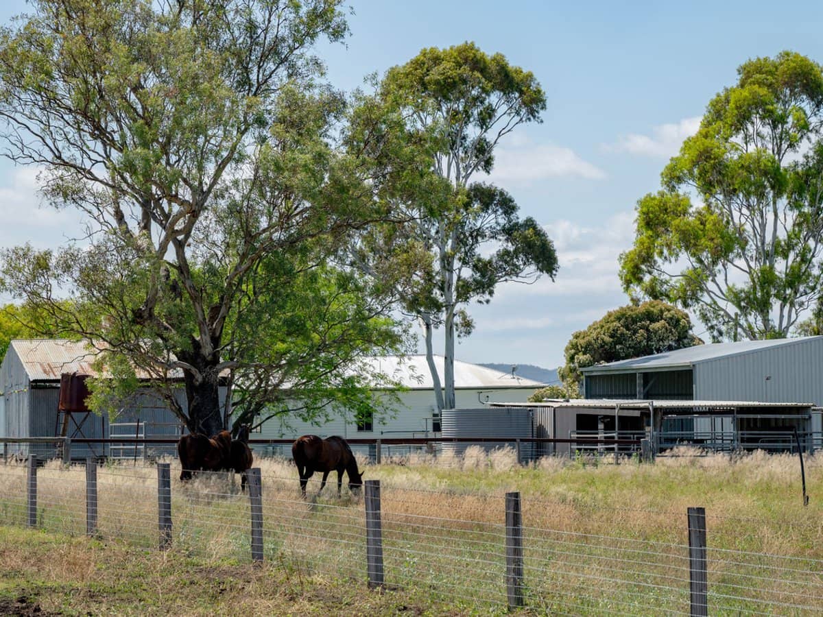 101 Clifford Road, Allora - Thumbnail 19