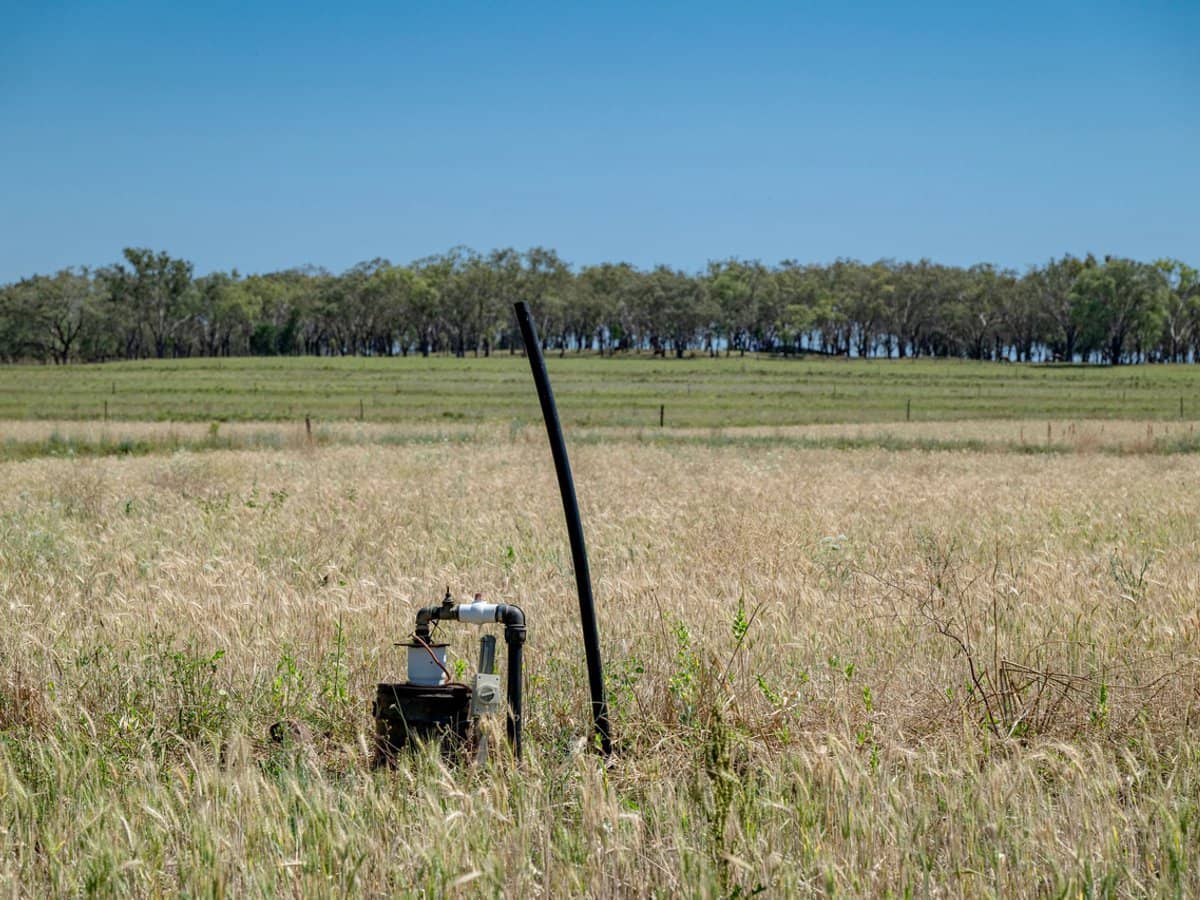 101 Clifford Road, Allora - Thumbnail 20