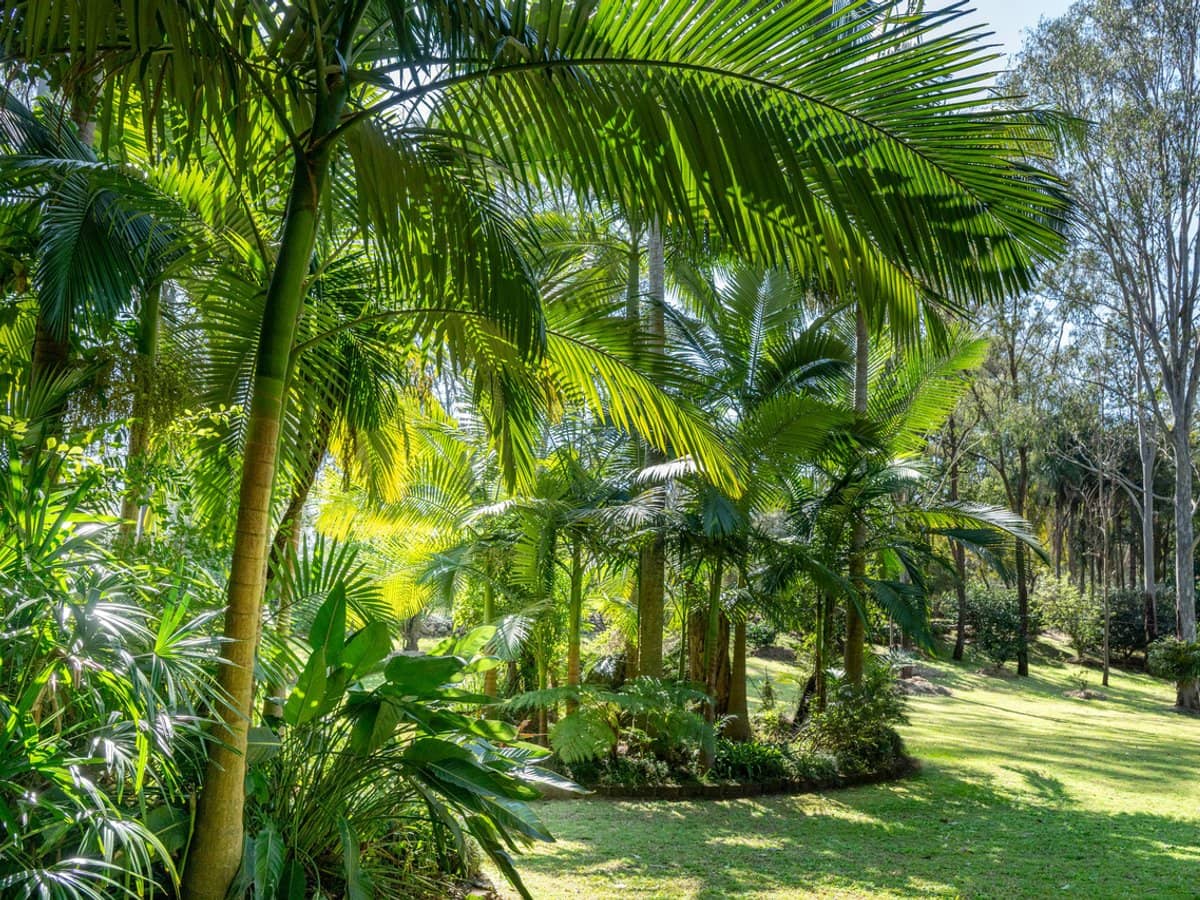 301 Wivenhoe Somerset Road, Fernvale - Thumbnail 25