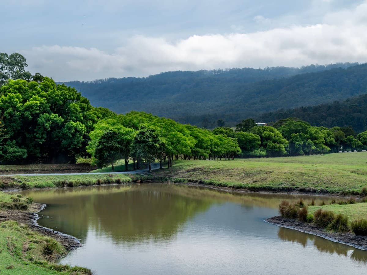 2567 Beaudesert Nerang Road, Benobble - Thumbnail 2