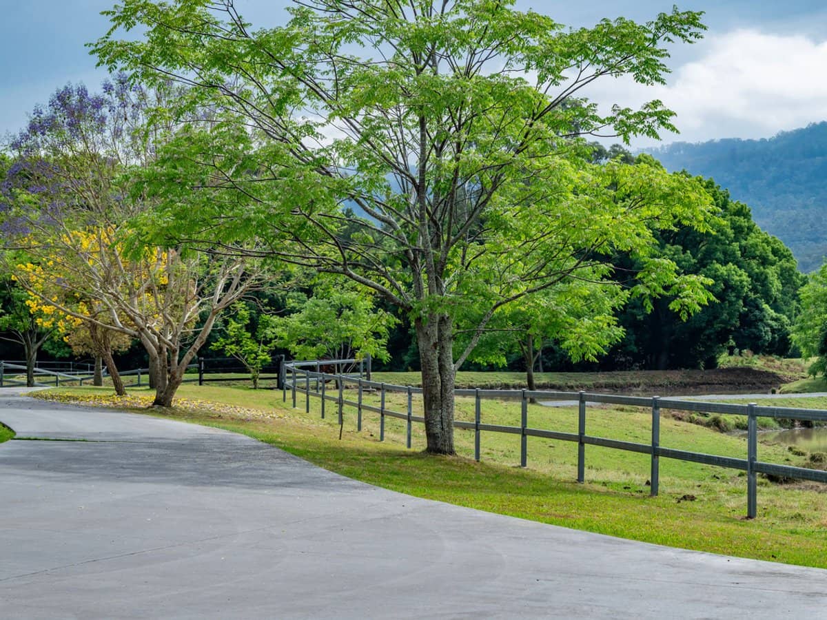 2567 Beaudesert Nerang Road, Benobble - Thumbnail 5