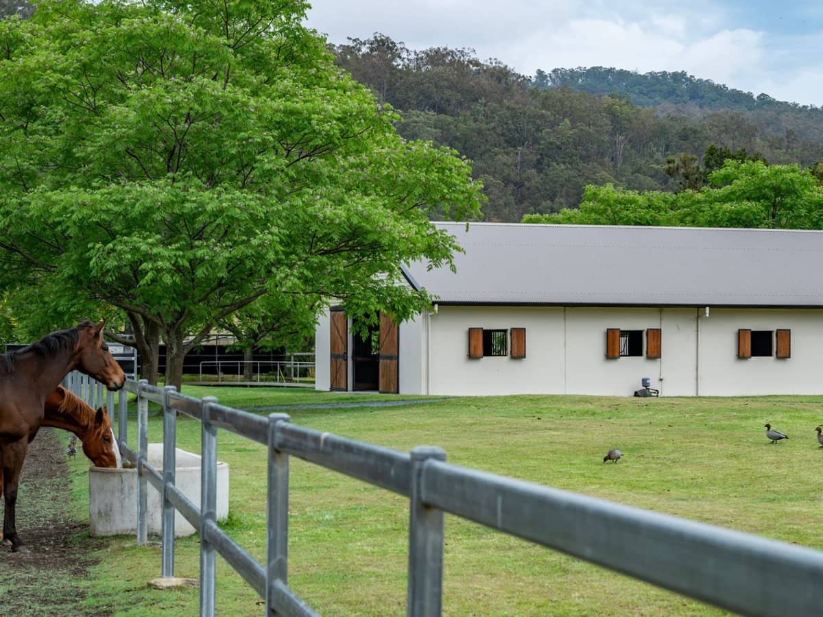 2567 Beaudesert Nerang Road, Benobble - Thumbnail 24