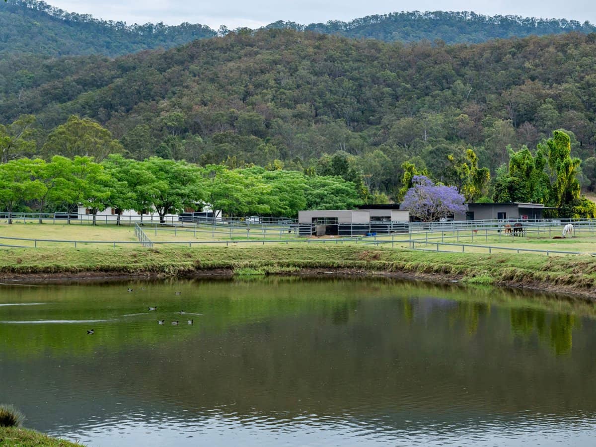 2567 Beaudesert Nerang Road, Benobble - Thumbnail 25