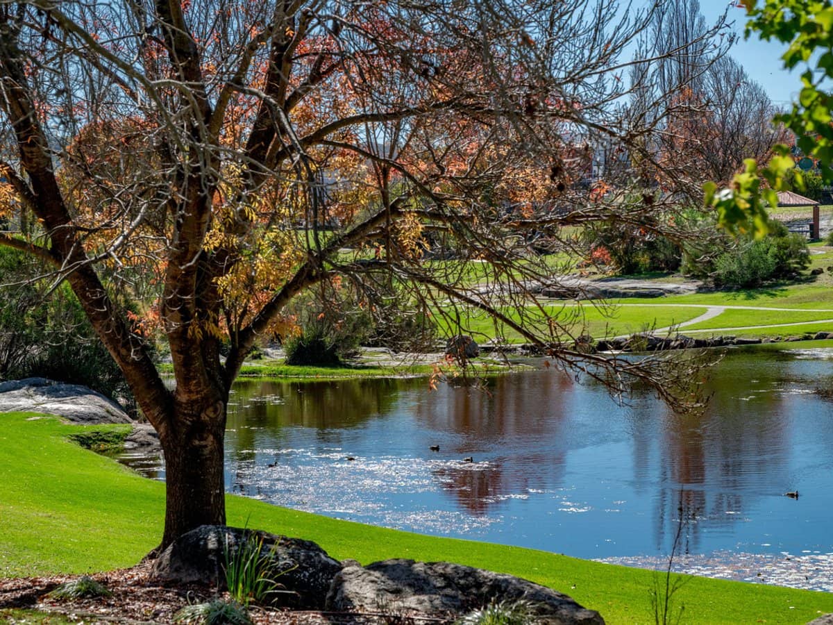 39 Mckillop Lane, Stanthorpe - Thumbnail 21