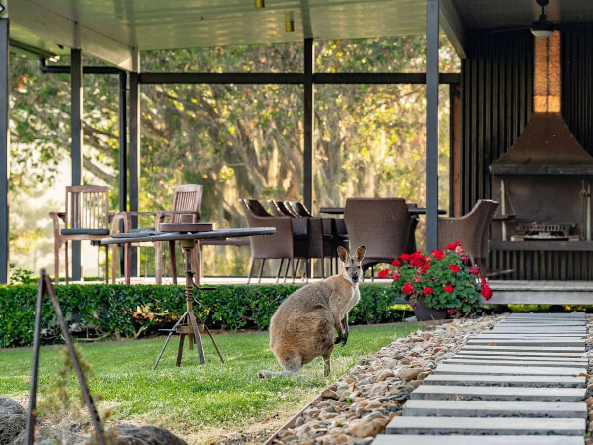 3196 Christmas Creek Road, Lamington - Thumbnail 17