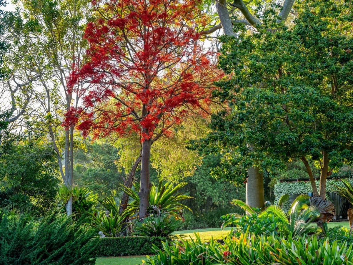 3196 Christmas Creek Road, Lamington - Thumbnail 19