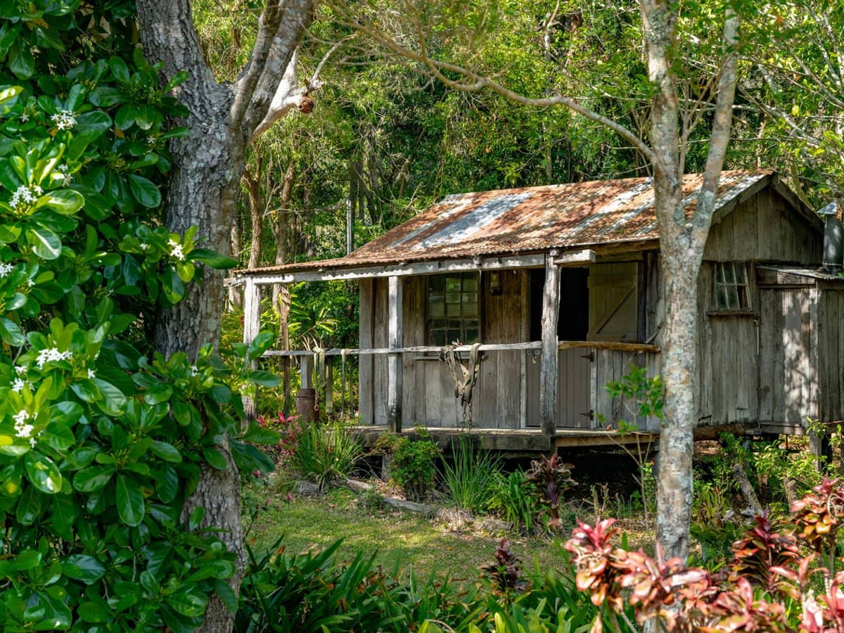 3196 Christmas Creek Road, Lamington - Thumbnail 21