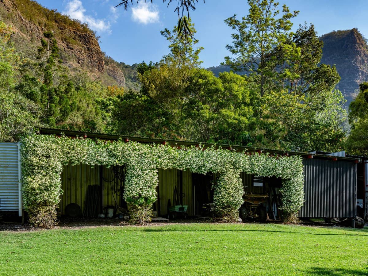 3196 Christmas Creek Road, Lamington - Thumbnail 22