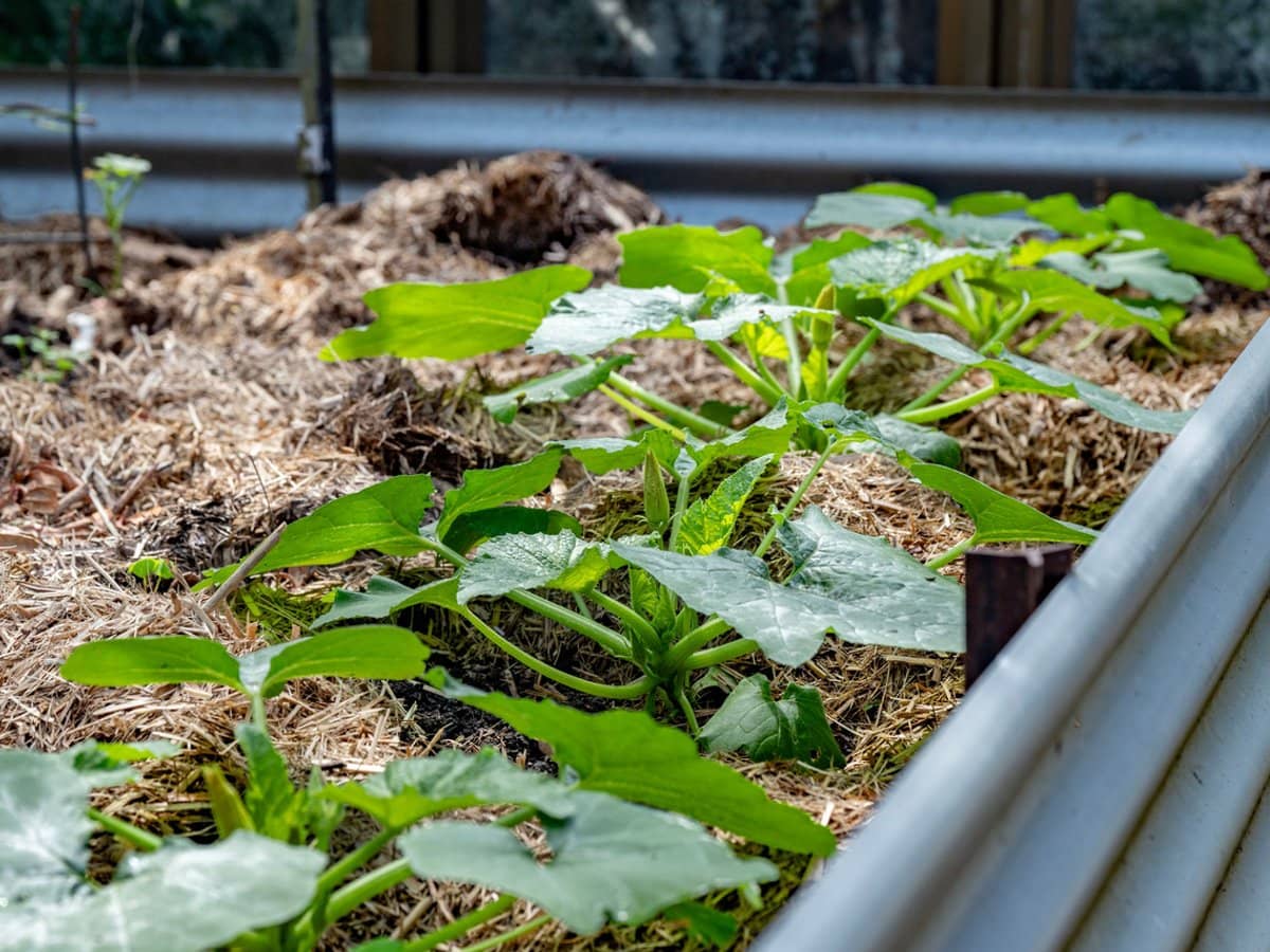 3196 Christmas Creek Road, Lamington - Thumbnail 23