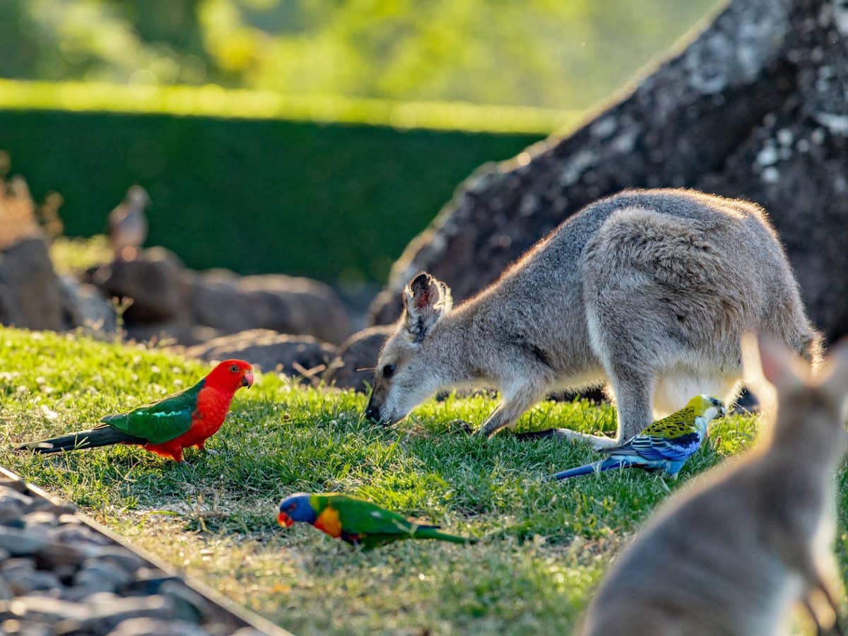 3196 Christmas Creek Road, Lamington - Thumbnail 24