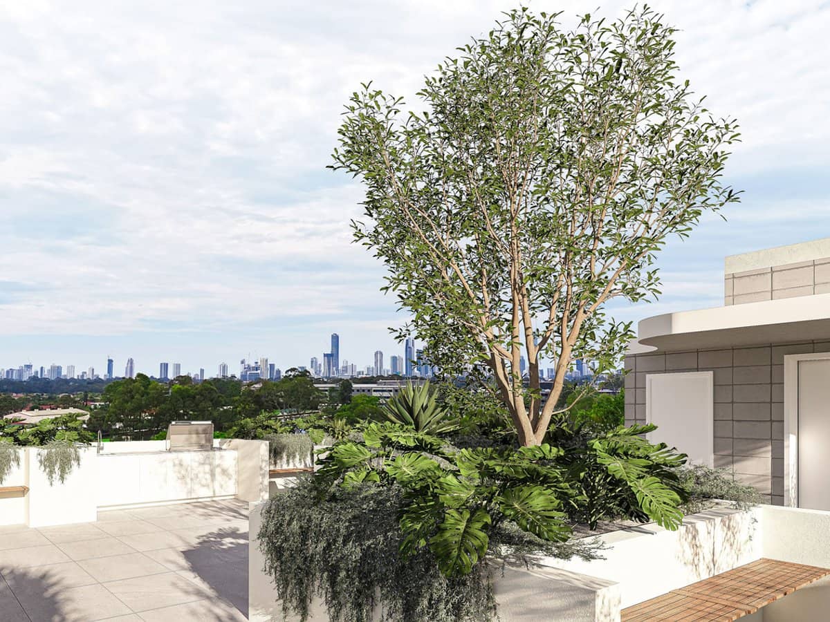 239 Ashmore Road, Benowa - Thumbnail 6