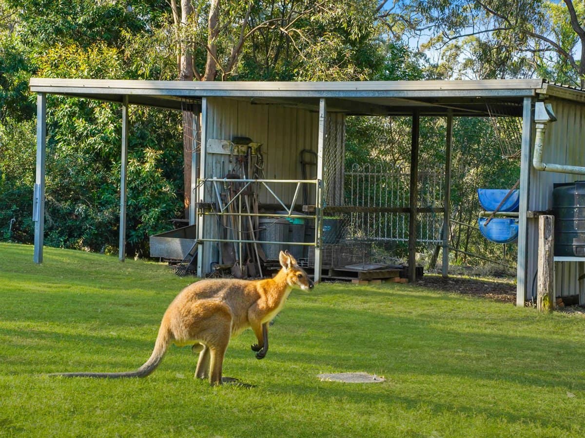 75 Kloske Road, Burbank - Thumbnail 6