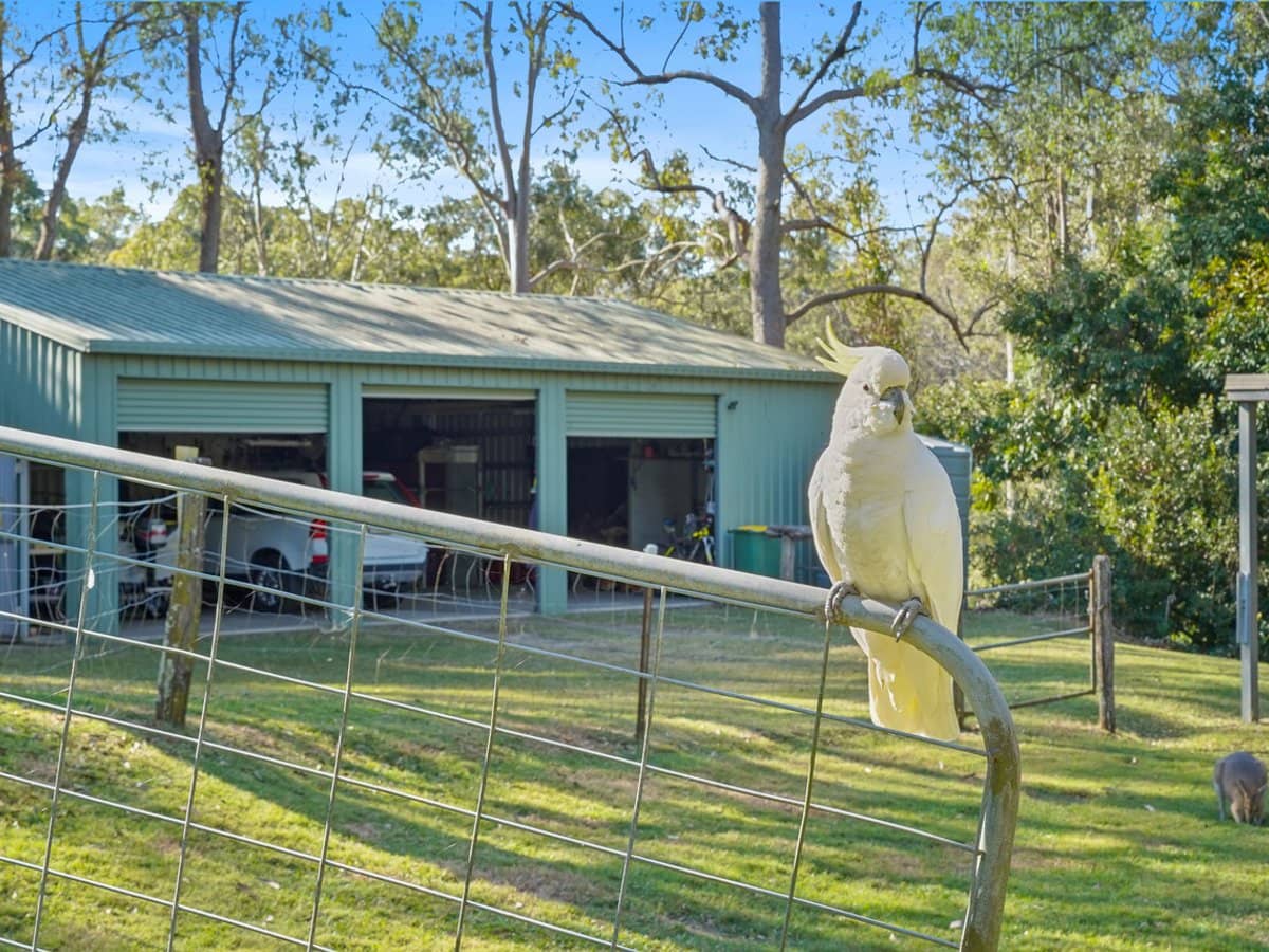 75 Kloske Road, Burbank - Thumbnail 8