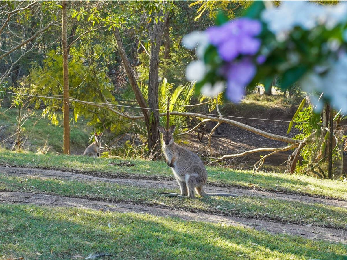 75 Kloske Road, Burbank - Thumbnail 9