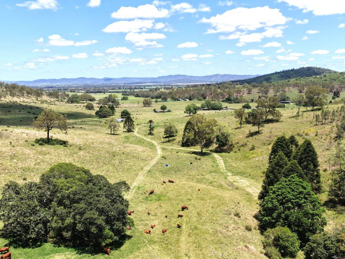 516 Scrub Creek Road, Scrub Creek - Thumbnail 1