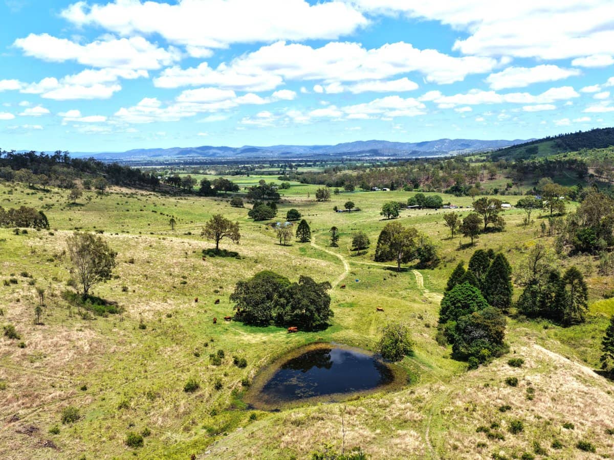 516 Scrub Creek Road, Scrub Creek - Thumbnail 5