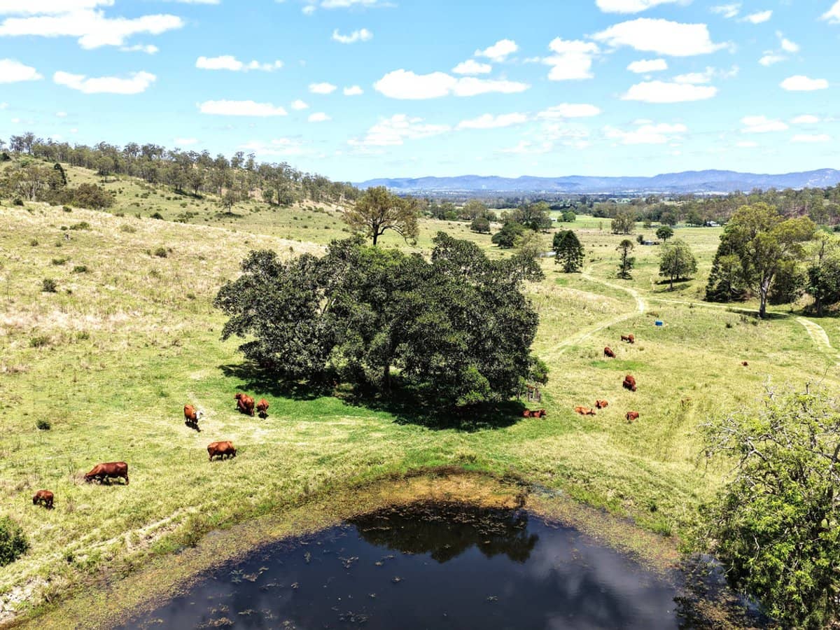 516 Scrub Creek Road, Scrub Creek - Thumbnail 7