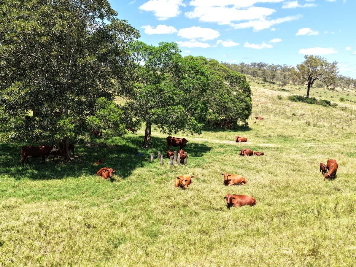 516 Scrub Creek Road, Scrub Creek - Thumbnail 9