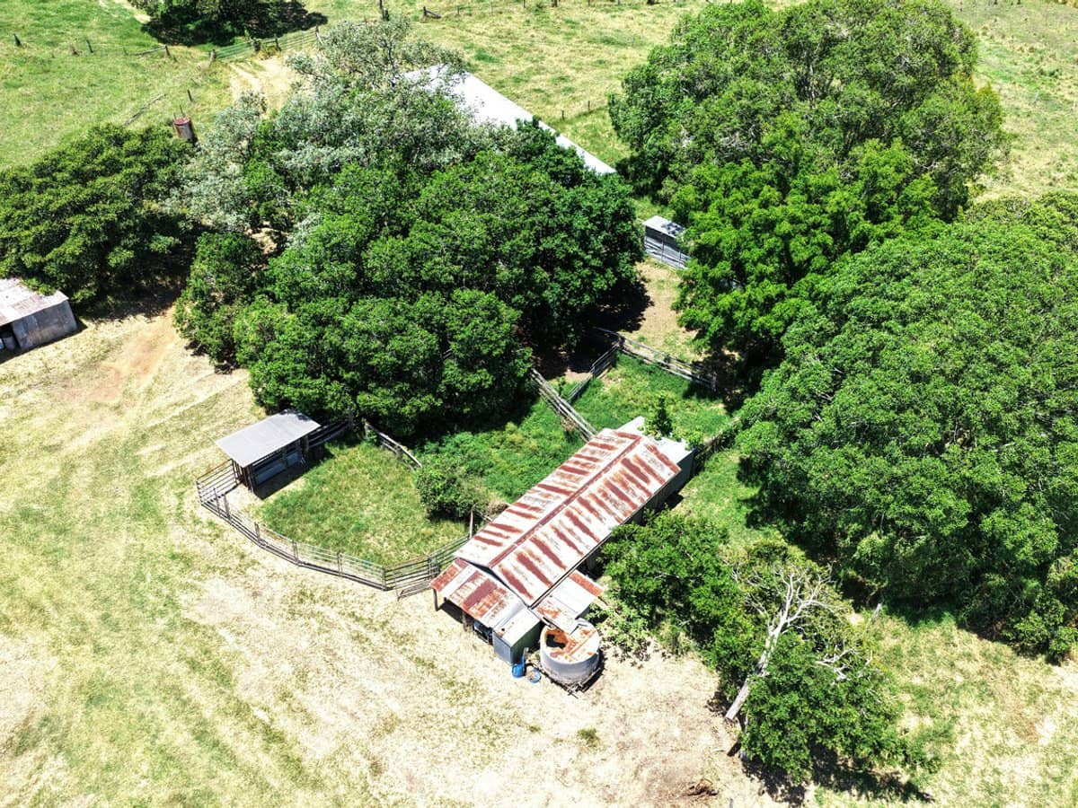 516 Scrub Creek Road, Scrub Creek - Thumbnail 17