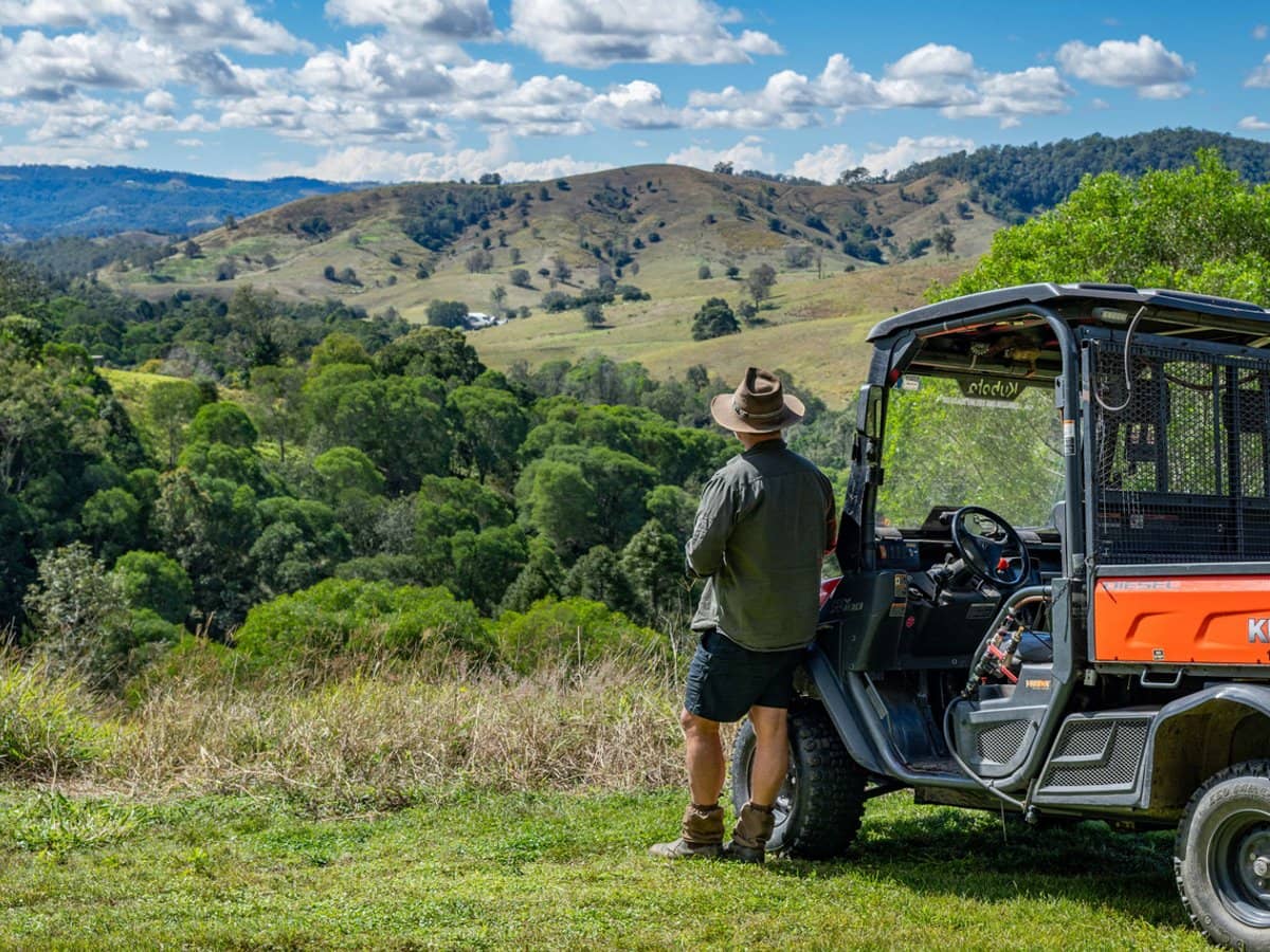 994 Laceys Creek Road, Laceys Creek - Thumbnail 3