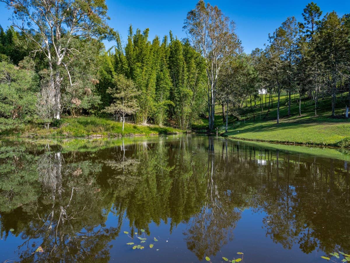 994 Laceys Creek Road, Laceys Creek - Thumbnail 4